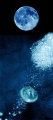   mare luna una bolla daria che riflette il fotografo sale verso la superficie sta guardare luna/  